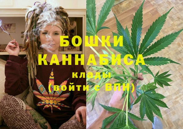 СК Тында