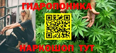 меф Кимры