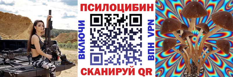 кракен   Углич  Галлюциногенные грибы Psilocybine cubensis 
