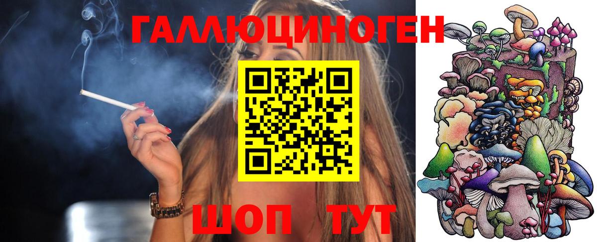 Псилоцибиновые грибы Cubensis Углич