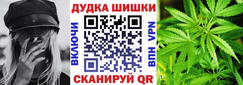 Конопля сатива  Углич 